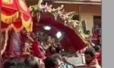 पालकी पूजा कर रही लड़की को चोटी पकड़कर खींचा: