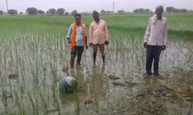 किसान के खेत में आसमान से गिरा रहस्यमयी गोला  ग्रामीणों में दहशत, वैज्ञानिकों की टीम को बुलाया