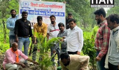 सामाजिक संस्था प्रिफर्ड जर्नलिस्ट एसोसिएशन के तत्वाधान में किया गया पोधारोपण