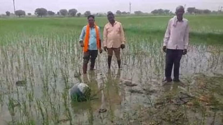 किसान के खेत में आसमान से गिरा रहस्यमयी गोला ग्रामीणों में दहशत, वैज्ञानिकों की टीम को बुलाया