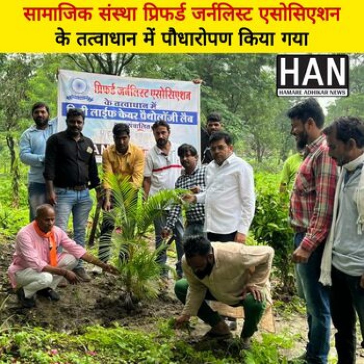 सामाजिक संस्था प्रिफर्ड जर्नलिस्ट एसोसिएशन के तत्वाधान में किया गया पोधारोपण